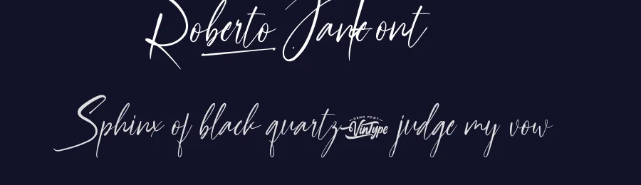 Roberto Jane Font by VinType — Script Handwritten Font — thumbnail 2