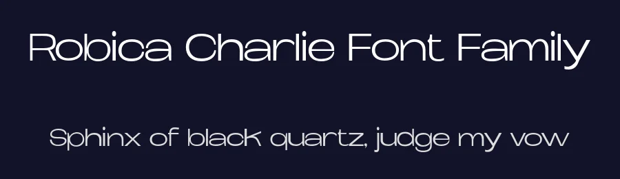 Robica Charlie Font Family by Nadia Auliana — Sans Serif Font — thumbnail 2