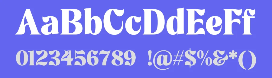 Rochega Font by Rantautype — Serif Font — thumbnail 3