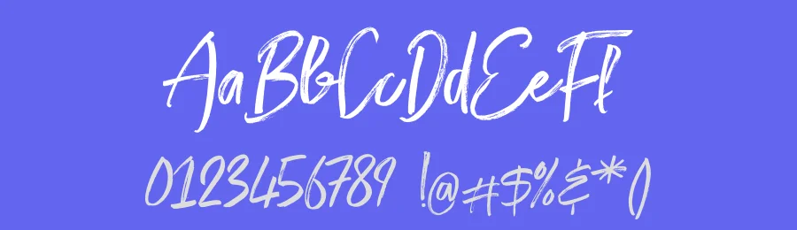 Rockstar Handmade Brush Font by Efe Gürsoy — Script Handwritten Font — thumbnail 3