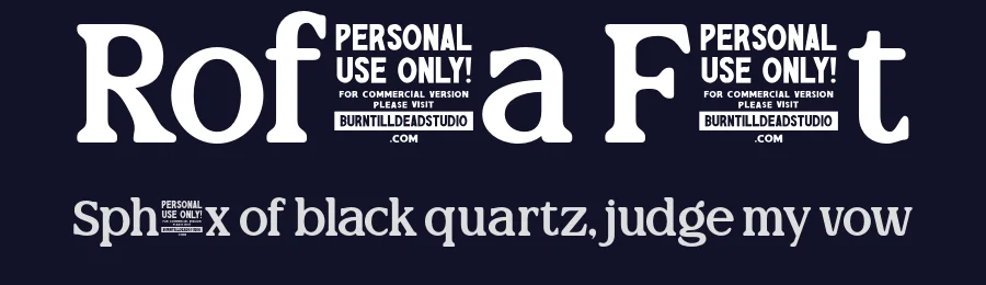 Rofina Font by burntilldead — Serif Font — thumbnail 2