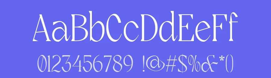 Rogik Font by holyline design — Serif Font — thumbnail 3