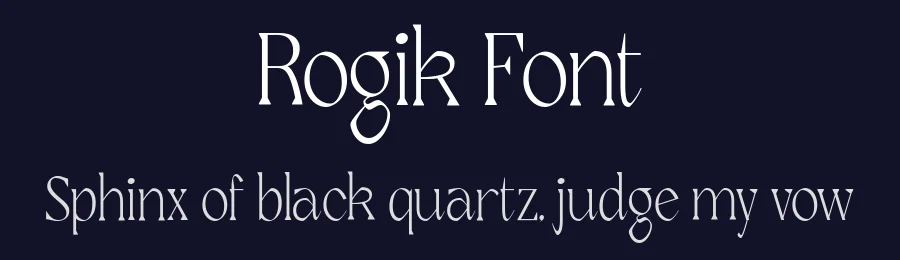 Rogik Font by holyline design — Serif Font — thumbnail 2