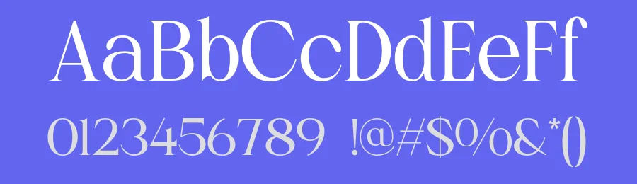 Rogria Font by roomspace.cl — Serif Font — thumbnail 3