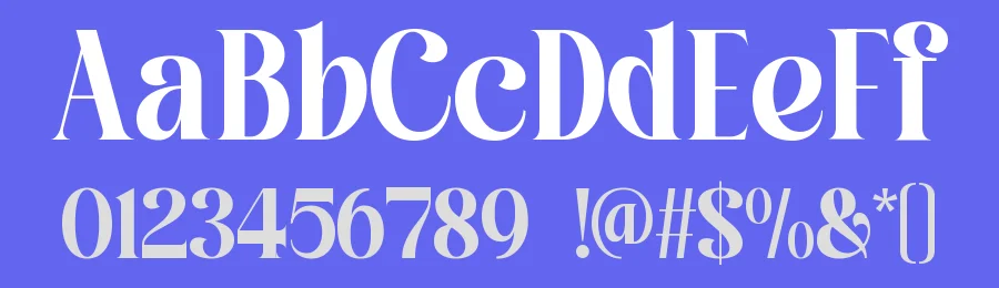 Roilega Font Family by Pandeka Studio — Serif Font — thumbnail 3