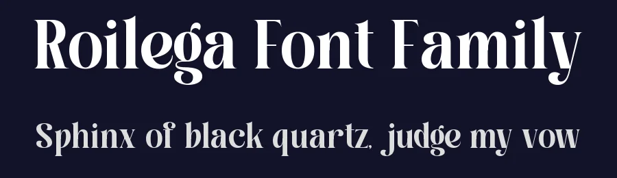 Roilega Font Family by Pandeka Studio — Serif Font — thumbnail 2