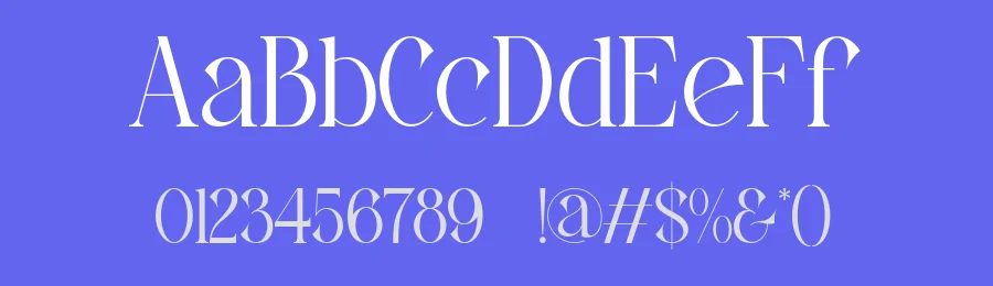 Rokcla Font by ErmediaStudio — Serif Font — thumbnail 3