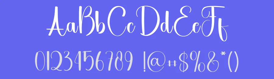 Rollercoaster – Elegant Handwritten Font by freshtypeink — Script Handwritten Font — thumbnail 3