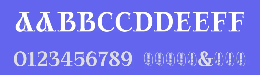 Rollions Serif Font by zarmatype — Display Font — thumbnail 3