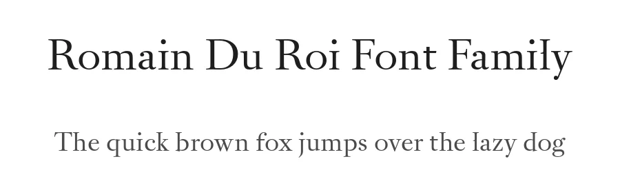 Romain Du Roi Font Family by newglyph β Serif Font
