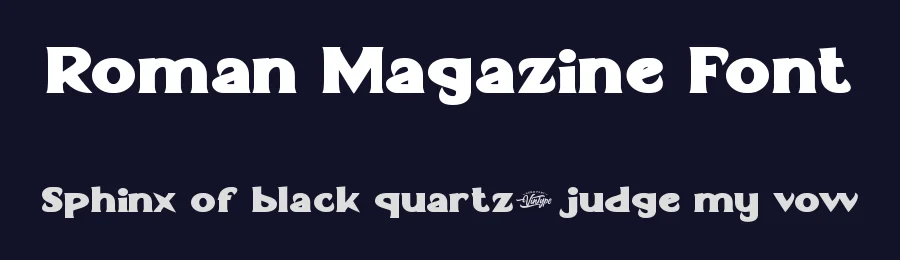 Roman Magazine Font by VinType — Display Font — thumbnail 2