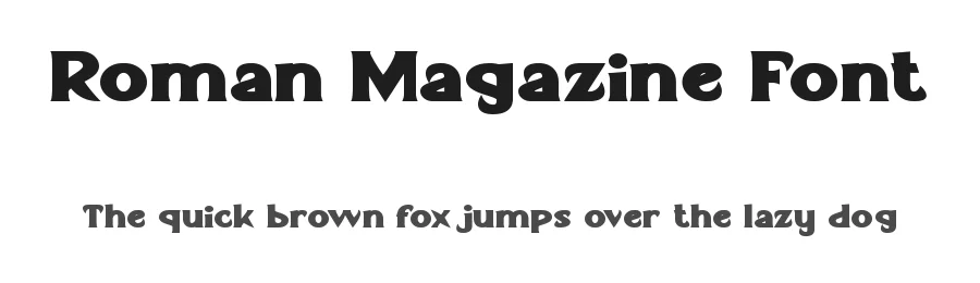 Roman Magazine Font by VinType — Display Font