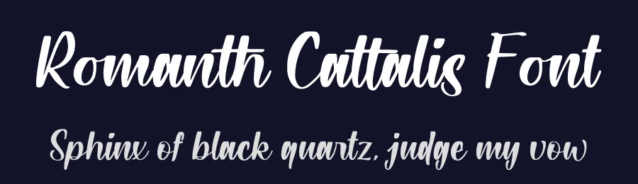 Romanth Cattalis Font by letterfabric — Script Handwritten Font — thumbnail 2