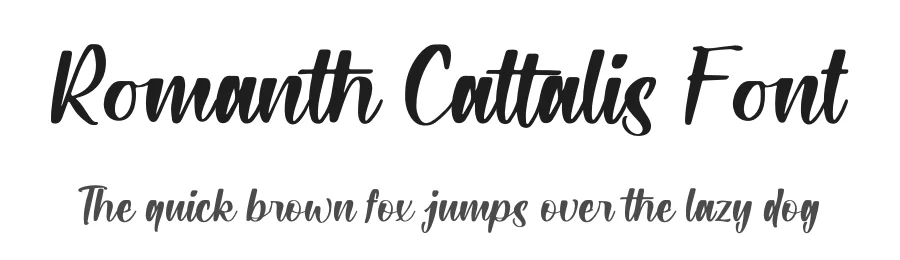Romanth Cattalis Font by letterfabric — Script Handwritten Font