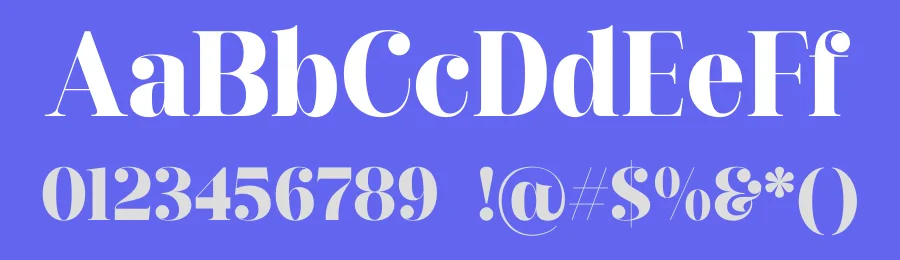 Ronagia Font by Rantautype — Serif Font — thumbnail 3