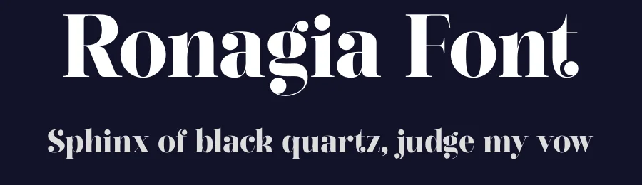 Ronagia Font by Rantautype — Serif Font — thumbnail 2