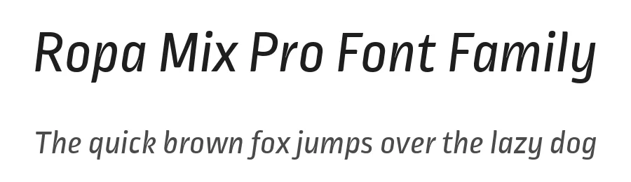 Ropa Mix Pro Font Family by lettersoup — Sans Serif Font