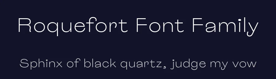 Roquefort Font Family by polytype — Sans Serif Font — thumbnail 2