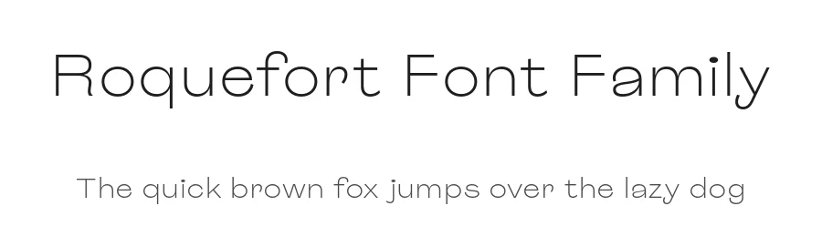 Roquefort Font Family by polytype β Sans Serif Font