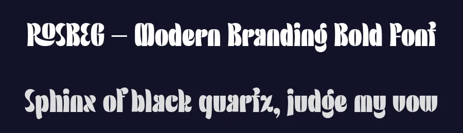 ROSBEG – Modern Branding Bold Font by Aiquitype — Display Font — thumbnail 2