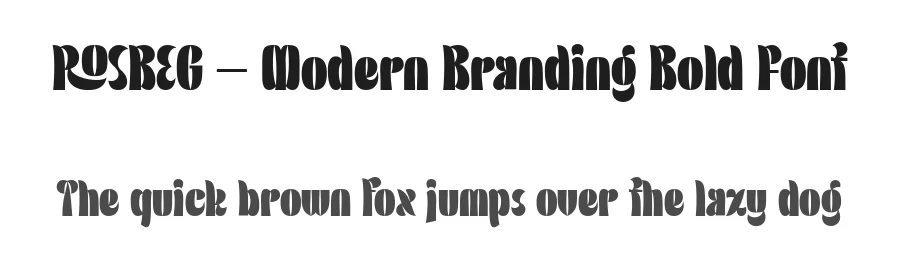 ROSBEG – Modern Branding Bold Font by Aiquitype — Display Font