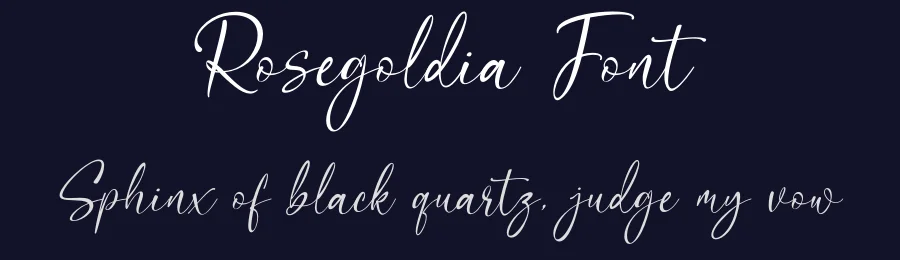 Rosegoldia Font by Sronstudio — Script Handwritten Font — thumbnail 2