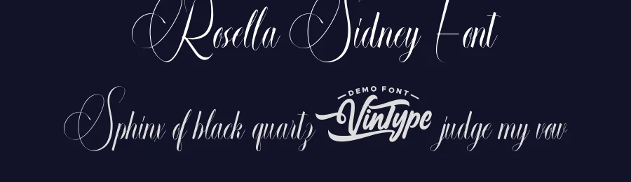 Rosella Sidney Font by VinType — Script Handwritten Font — thumbnail 2