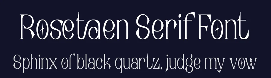 Rosetaen Serif Font by Operatype.Co — Serif Font — thumbnail 2