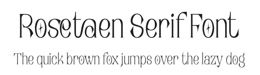 Rosetaen Serif Font by Operatype.Co — Serif Font