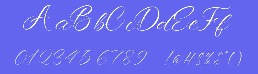 Roshiaty Font by Dhabee — Serif Font — thumbnail 3