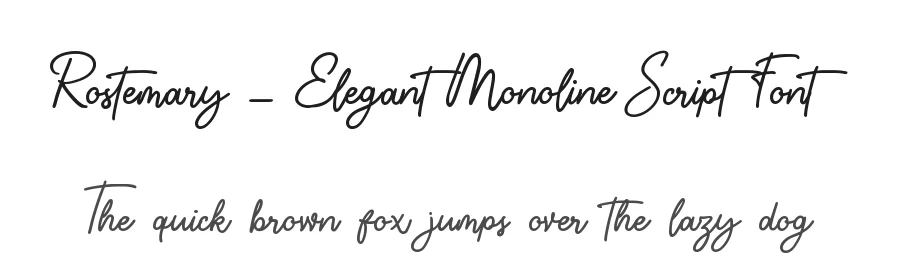 Rostemary – Elegant Monoline Script Font by Almarkha Type — Decorative Font