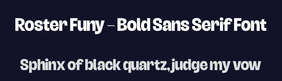 Roster Funy – Bold Sans Serif Font by timelesstype.co — Sans Serif Font — thumbnail 2