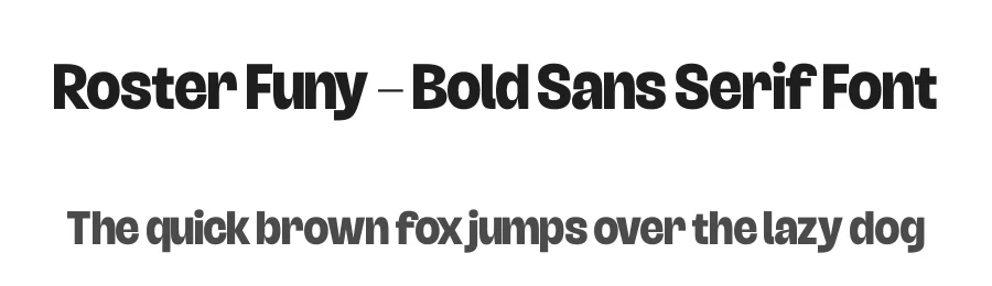 Roster Funy – Bold Sans Serif Font by timelesstype.co — Sans Serif Font