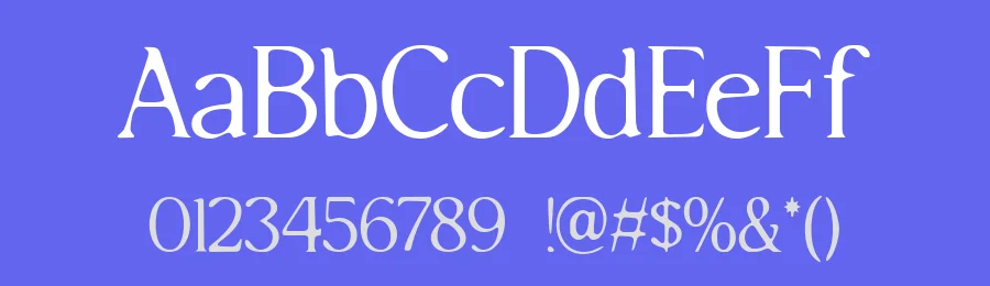 Rothen Font by DikasStudio — Serif Font — thumbnail 3