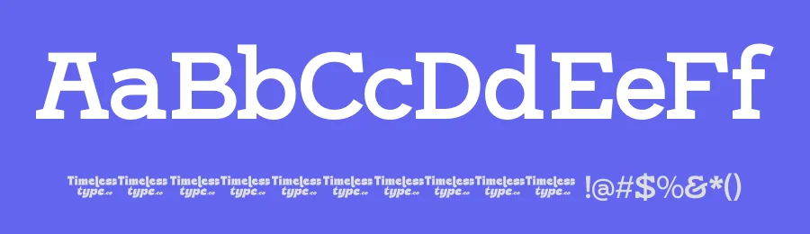 Rotter Damn Font by timelesstype.co — Serif Font — thumbnail 3