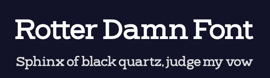 Rotter Damn Font by timelesstype.co — Serif Font — thumbnail 2