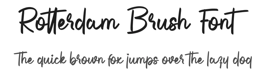 Rotterdam Brush Font by creativeletter — Script Handwritten Font