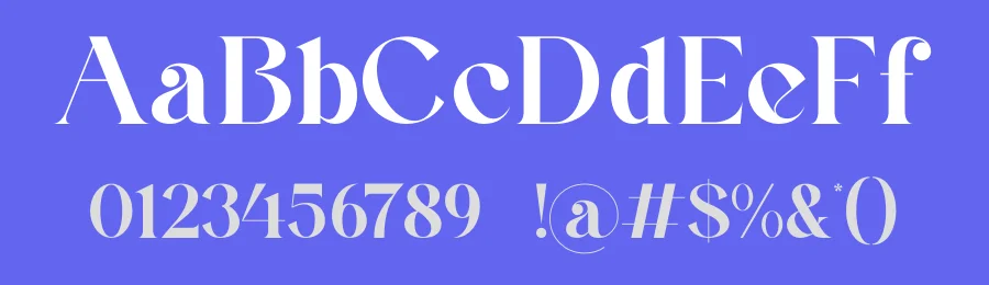 Rouica Serif Font by ErmediaStudio — Serif Font — thumbnail 3