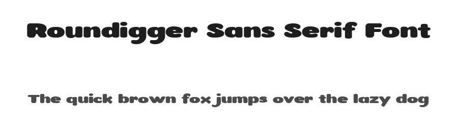Roundigger Sans Serif Font by Hurufraktur — Sans Serif Font