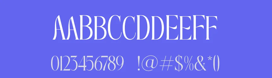 Roxbury Egoism Font by timelesstype.co — Serif Font — thumbnail 3