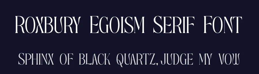 Roxbury Egoism Serif Font by timelesstype.co — Serif Font — thumbnail 2
