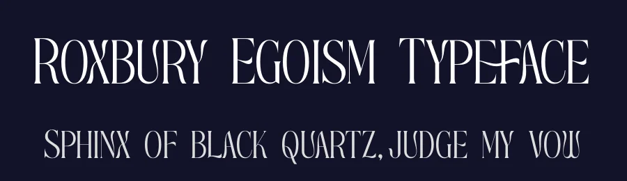Roxbury Egoism Typeface by timelesstype.co — Display Font — thumbnail 2