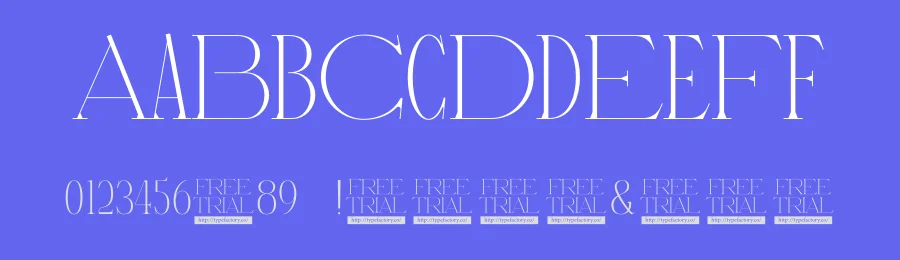 Royalena Font by 99designs — Serif Font — thumbnail 3