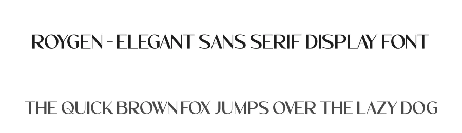 Roygen – Elegant Sans Serif Display Font by timelesstype.co — Sans Serif Font