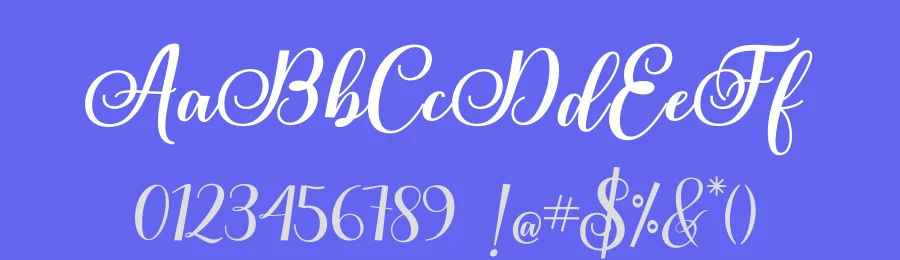 Rubeckia Calligraphy Font by fontkong — Script Handwritten Font — thumbnail 3