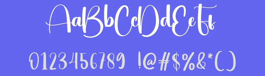Ruddy Face Script Font by creativeletter — Script Handwritten Font — thumbnail 3