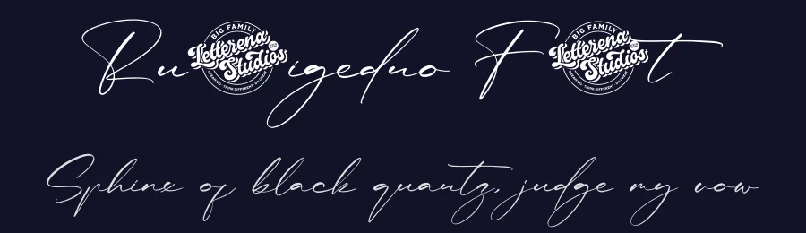 Rulligedro Font by letterenastudios — Script Handwritten Font — thumbnail 2