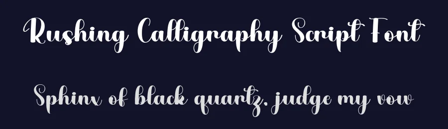 Rushing Calligraphy Script Font by freshtypeink — Script Handwritten Font — thumbnail 2
