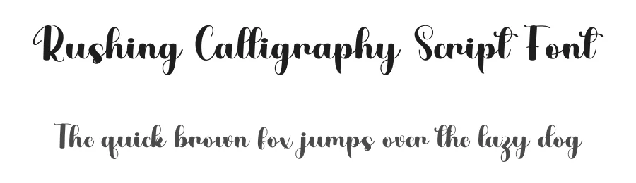 Rushing Calligraphy Script Font by freshtypeink — Script Handwritten Font