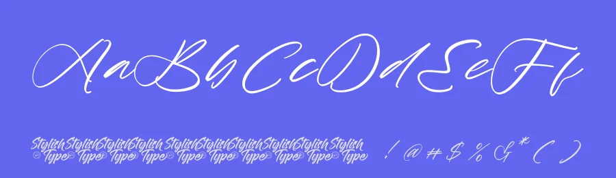 Rustic Diary – Elegant Script Font by stylishtype.co — Script Handwritten Font — thumbnail 3